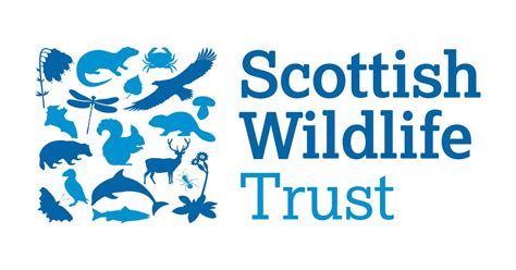 Ocean Career Marine Policy Officer At Scottish Wildlife Trust