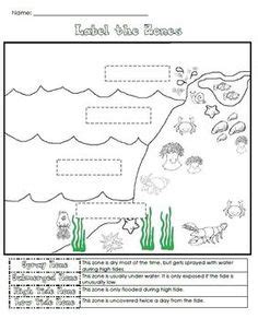 | these coloring pages will teach you about your family. Otter Page Coloring Sheets | Monterey Bay Aquarium: A ...