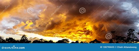 Panorama Sky Twilight Golden Cloudy And Tree Sihouette Stock Image