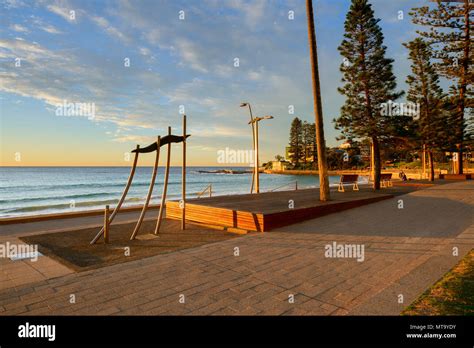 Dee Why Beach At Dawn Dee Why Sydney New South Wales Nsw