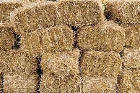 Hay Bales In A Large Pile Holiday Stock Photos ~ Creative Market