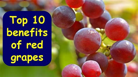Top 10 Health Benefits Of Eating Red Grapes Nutritional Facts Of Red