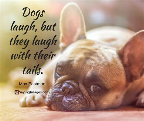 20 Cute And Famous Dog Quotes