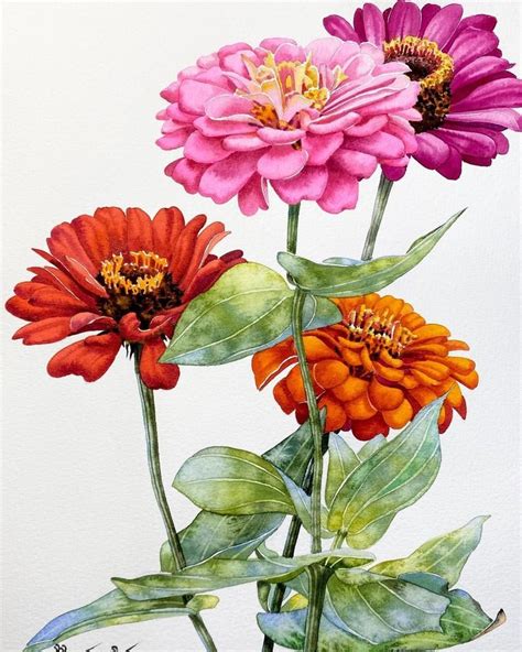 Pin By Melle Lee On Zinnia Flower Painting Watercolor Flower Art