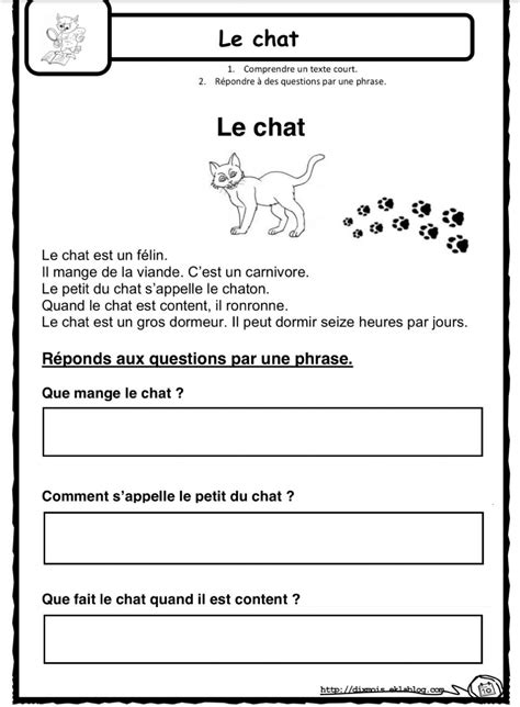 French reading-Francais lecture worksheet