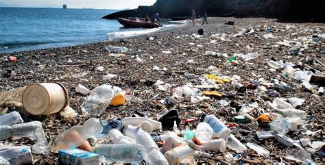 Al Año Ocho Millones De Toneladas De Plástico Terminan En Océanos