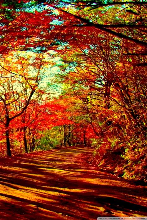 Dual Monitor Wallpaper Fall Beautiful Autumn Landscapes Of The World 4k
