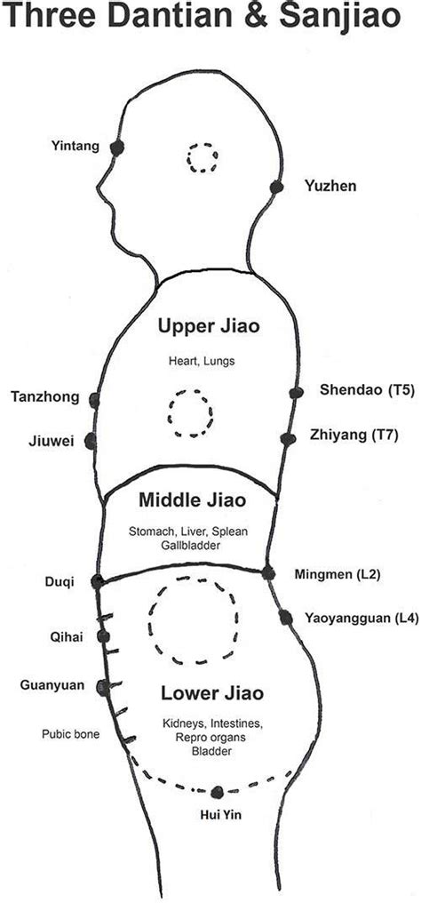 Tcm Singapore An Overview Of San Jiao And Lymphatic System