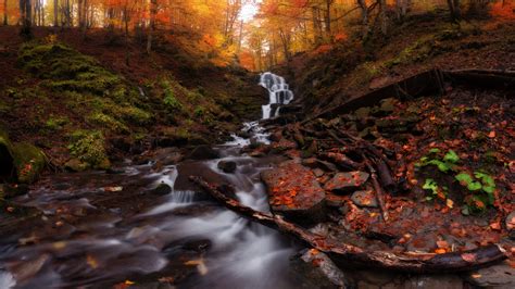 Download 1920x1080 Wallpaper Autumn Forest Water Current Waterfall