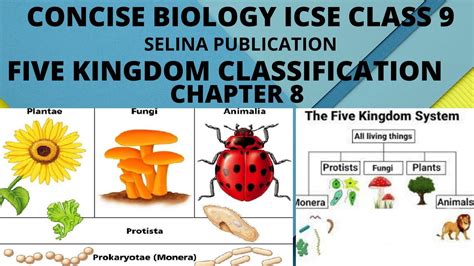 Five Kingdom Classification Class 9 Icse Chapter 8 Youtube