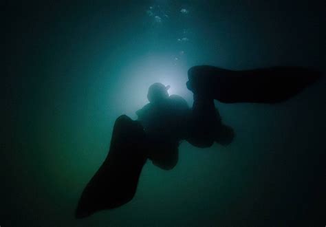 ‘subterranean Film Documents Bc Researchers Dive Into Canadas Deepest Cave The Williams