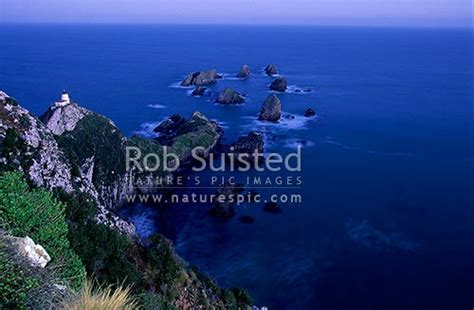 What to do with nugget? Nuggets Lighthouse after sunset. Nugget point, Catlins ...