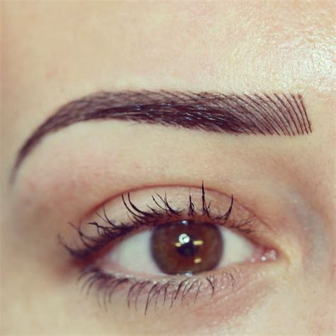 Permanent Brows By Beautissima Brows Eyebrows Eye Brows Brow