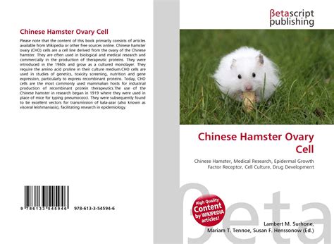 Chinese Hamster Ovary Cells Advantages Assnart