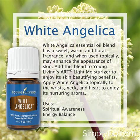 See more ideas about white angelica, white angelica young living, young living essential oils. White Angelica 5ml Essential Oil Young Living ...