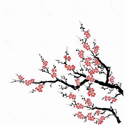 Blossom Cherry Tree Drawing Sakura Japanese Draw