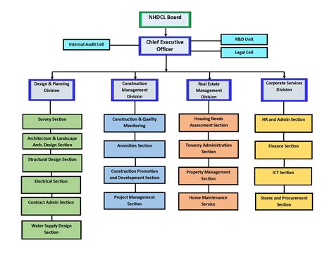 Organogram Template Infographic