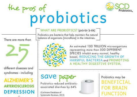 The Pros Of Probiotics Essential Probioticsessential Probiotics