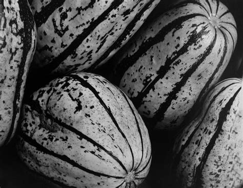 New blackfriars bridge opened 6 november 1869. Edward Weston - Striped Squash, 1932, Photograph: For Sale ...