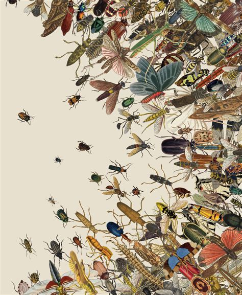 How Many Insects Are On The Earth The Earth Images Revimageorg