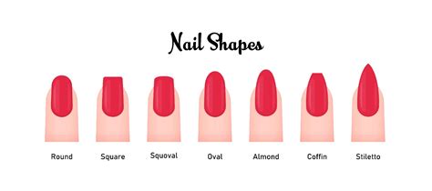 Comprehensive Guide To Nail Shapes Are You Fashion