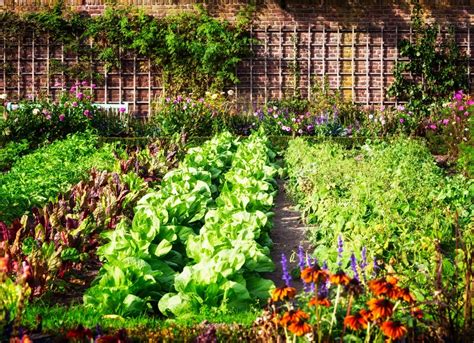 13 Ideas For A Vegetable Garden With Serious Curb Appeal Bob Vila