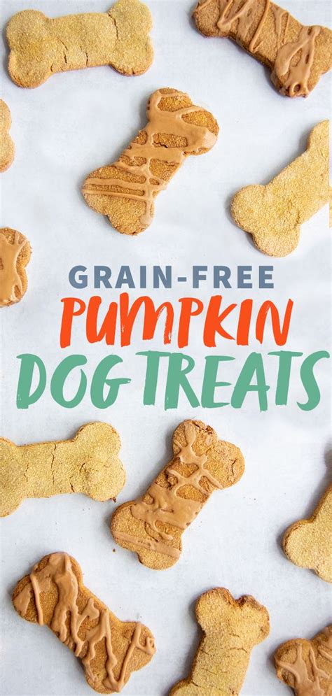 Grain Free Pumpkin Coconut Dog Treats Recipe Dog Treats Grain Free