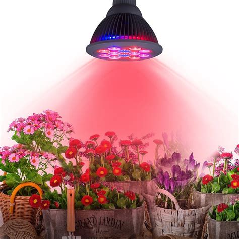 Top 8 Best Led Grow Lights Reviews And Buying Guideline