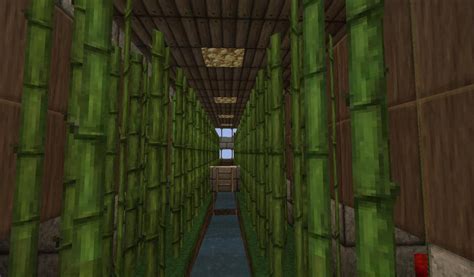 Here are 2 minecraft cactus farm choices that work in minecraft 1.16. Godsmen Greenhouse - Automatic Grow & Harvest for Wheat ...