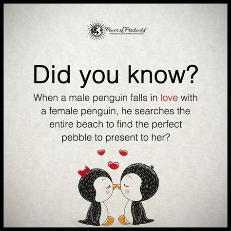 Enjoy our penguins quotes collection. 448 best images about Penguin Art on Pinterest