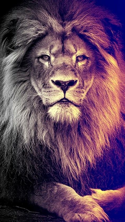 Check spelling or type a new query. Lion Animation Wallpaper HD For iPhone - Best Wallpaper HD ...