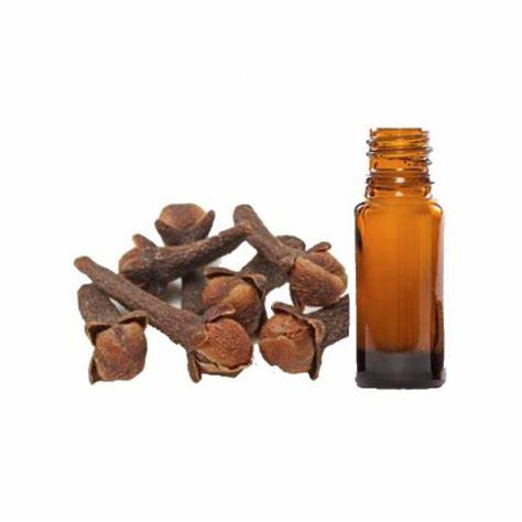Эфирное масло похудеть Эфирное масло гвоздики (Индонезия) купить в СПб, цена от 500 рублей Эфирное масло гвоздики (Индонезия) купить в СПб, цена от 500 рублей Эфирное масло похудеть