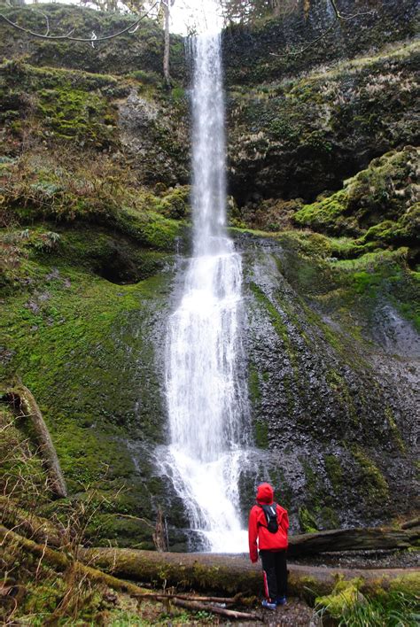 Silver Falls Trail Of Ten Falls With Kids — What To Do In Southern Oregon