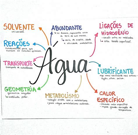 Mapa Mental Sobre A água EDULEARN