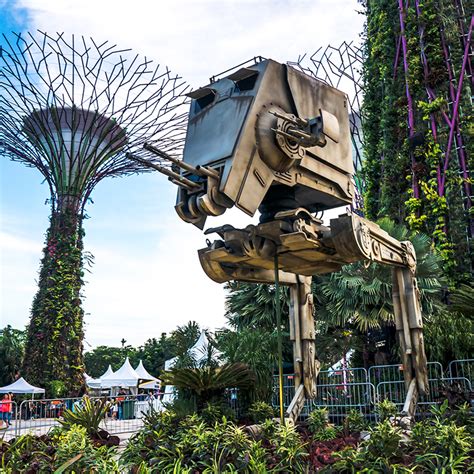 It should give timing for sowing the seeds directly in the garden or when to start them indoors. Star Wars Day at Gardens by the Bay | Dejiki.com
