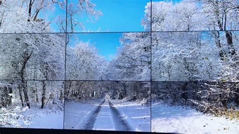 Winter The Four Seasons Woldgate Wood By British Artist David