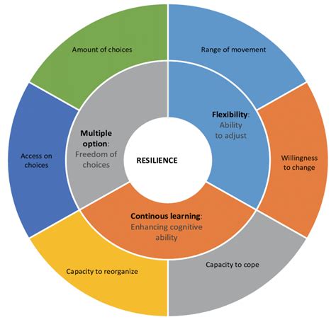 Various Constructs Of Resilience For Developing Climate Resilient