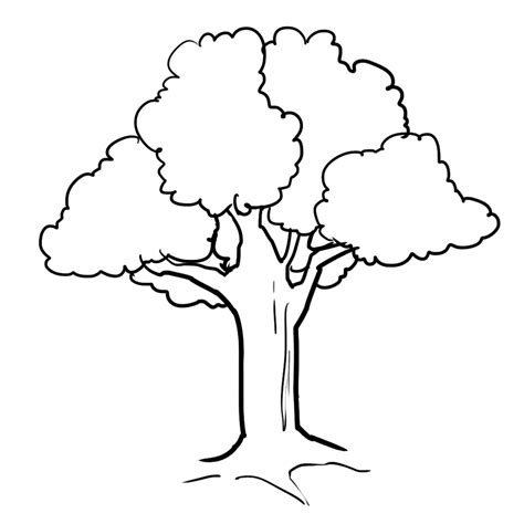 Tree Clipart Black And White Png