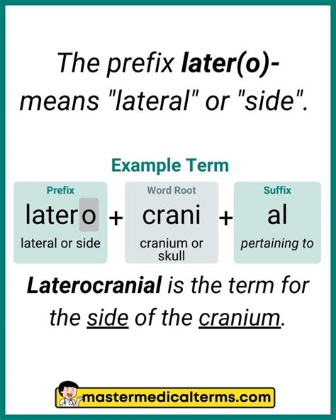 Medical Prefixes That Describe The Time Or Speed Master 46 Off