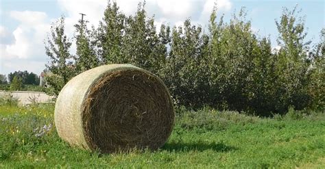 Round Hay Bale In Grass Field · Free Stock Video