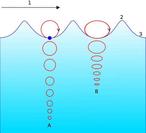 Motion Of A Particle In An Ocean Wave A At Deep Water The Orbital