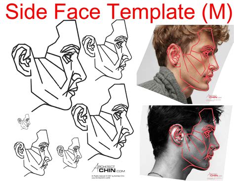 Male Face Template Male Face Ratio Male Face Grid Side Face Etsy Face Template Face Sketch