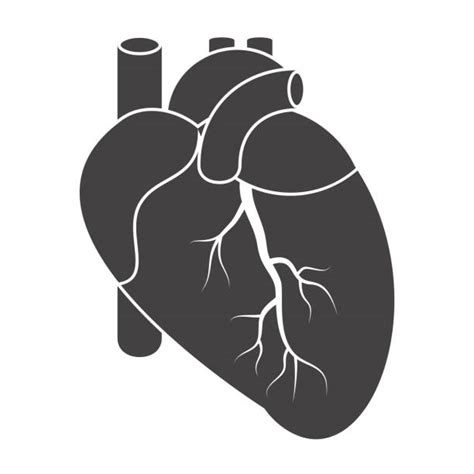 Best Human Heart Illustrations Royalty Free Vector