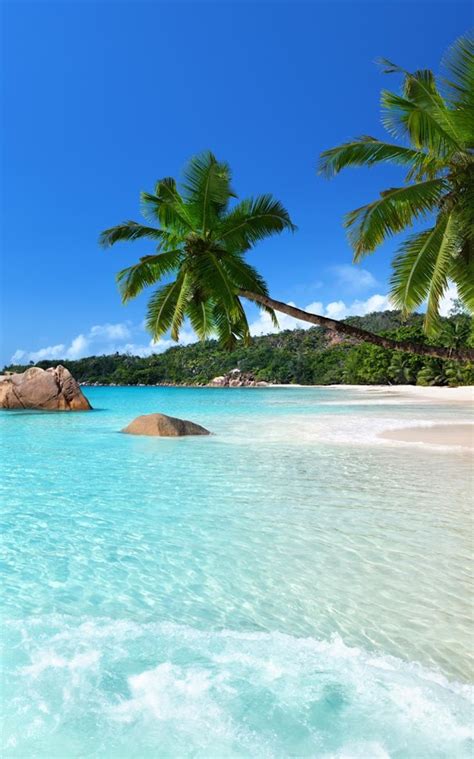 Free tropical beach wallpapers and tropical beach backgrounds for your computer desktop. Tropical beach pictures wallpapers - SF Wallpaper
