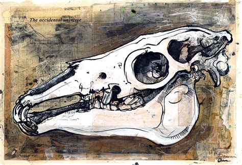 Duncan Cameron Skull