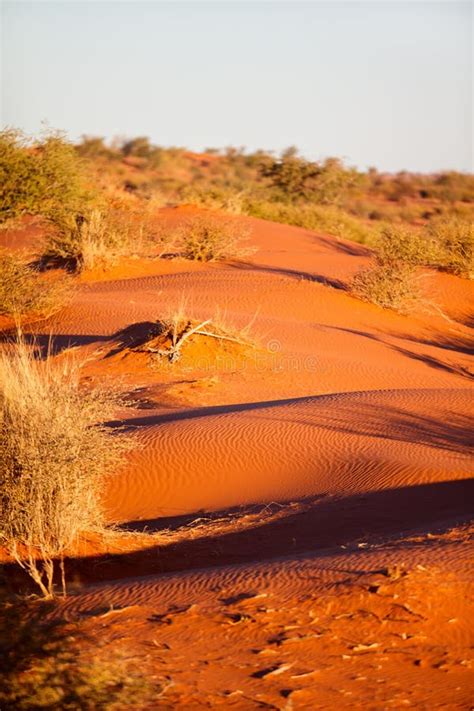 Sahara Desert Landscape Stock Photo Image Of Orange 159880974