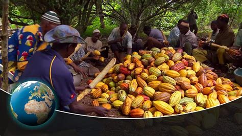 Fair Trade In Cocoa From The Ivory Coast Youtube