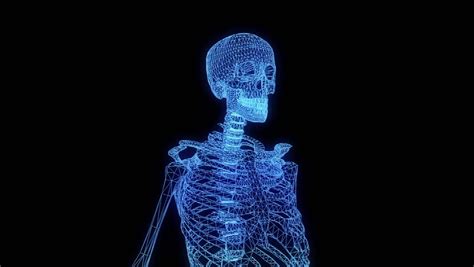 Human Skeleton Wireframe Hologram In Motion Nice 3d Rendering Stock