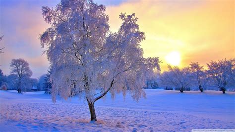 Bing Snow Sunset Wallpapers Wallpaper 1 Source For Free Awesome