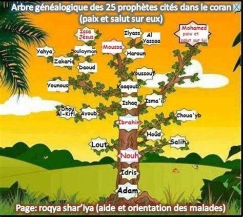Arbre Gènèalogique 25 Prophètes Citès Dans Le Coran Blog De Amine Elmili
